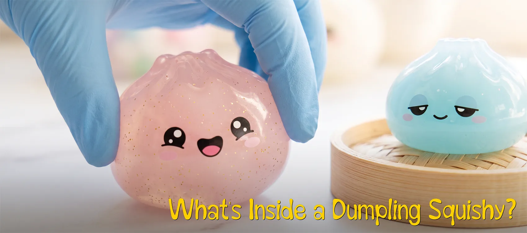 What's Inside a Dumpling Squishy